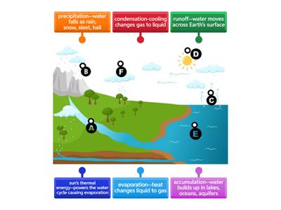 C8L3: Water Cycle Diagram (4.10A, 5.10A)