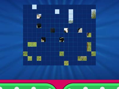 Farm animals - image reveal