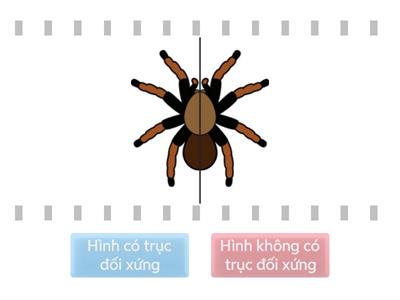  Tìm hình có trục đối xứng