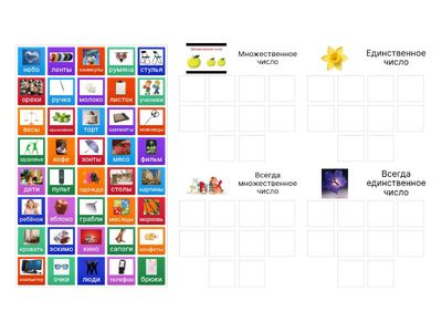 Число имён существительных