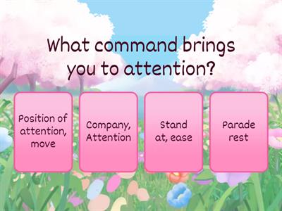 Army Commands and Customs and Courtesies