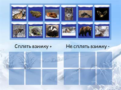 Тварини взимку