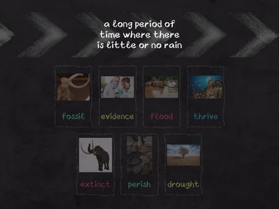 9.3 & 9.4 - Natural Changes & Fossil Evidence