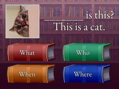 What / Where / Who / When