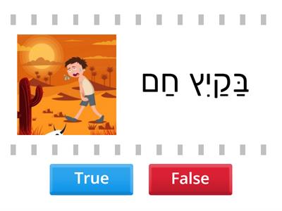 קיץ אמת או שקר - כל התנועות 