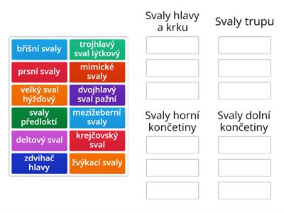 Svaly