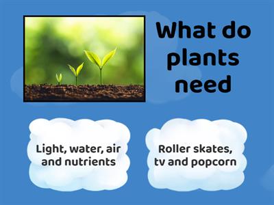 Science grade 1 revision 