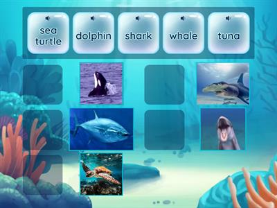 marine creatures