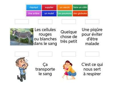 Les mots du jour #1 - Year 4 - 25/26