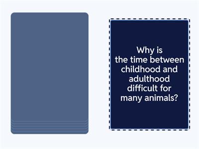 WW 2 Unit 3.3 reading CCQs