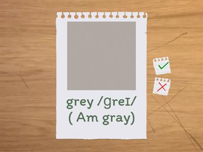 4B colours - Study-   Beginner EF4