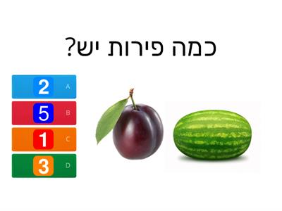 התאמת כמות לספרה קיץ- אנה גלפר