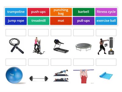 Gym Vocabulary