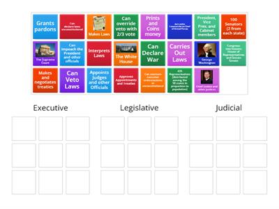 Separation of Powers (U.S. Branches of Government) 