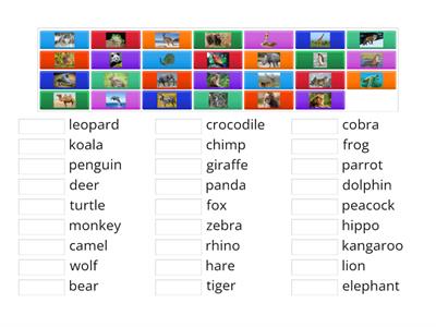 Spotlight 5 class Module 5 Wild Animals