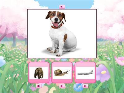 QUÈ RIMA AMB...? (3 ANYS)