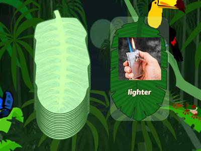 What do we need for camping?