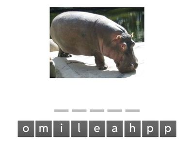  Beehive 2. Wild animals