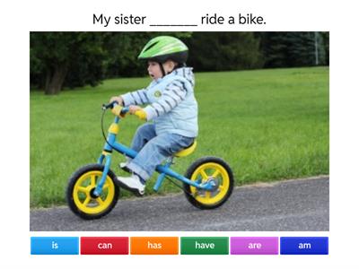 have has am is are can