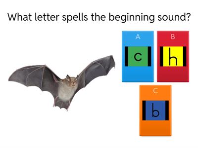 Where's My Sound?  Beginning, Middle or End