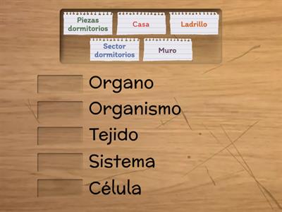 Relacionar niveles de organización.