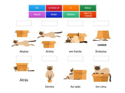 Prepositions of place  - inglês /português