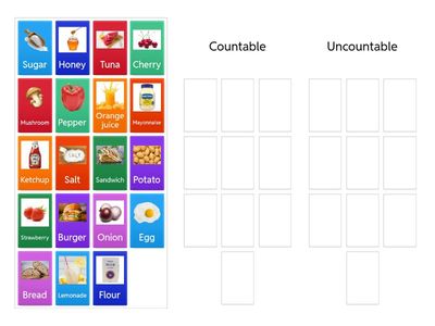 Focus 1 unit 2.2 countable/uncountable nouns 