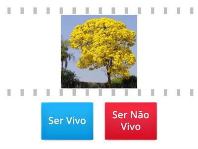 Seres Vivos e Não Vivos - 3º ano