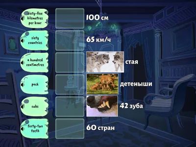  Academy stars 2. Wolves