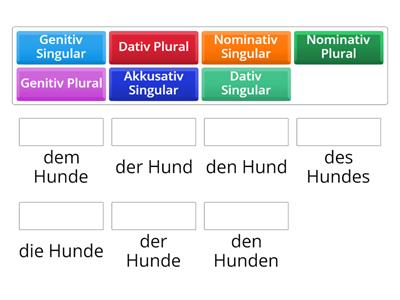 Fälle - Der Hund