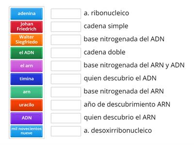 ADN y ARN 