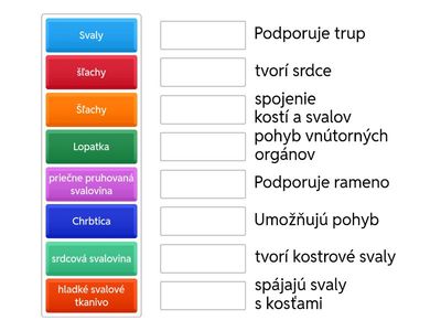 Pohybová sústava pre siedmakov