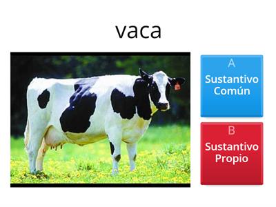 Sustantivos comunes y propios 
