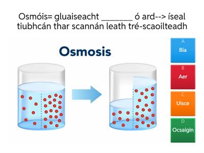 Osmóis