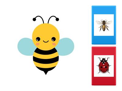 NPL - EXTRA PRACTICE - MONTH 2