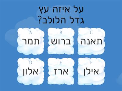 קרנבל סוכות בית מנחם!!