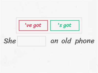 have/has affirmative short forms