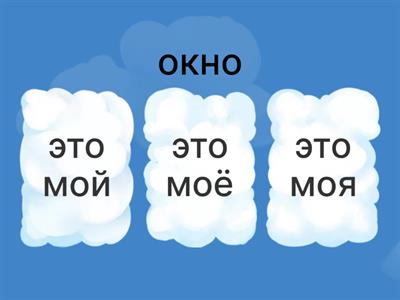 Род существительных РКИ А1