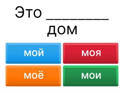 притяжательные местоимения 
