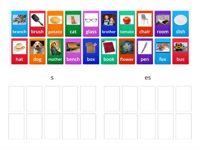  Plural nouns - s or - es 