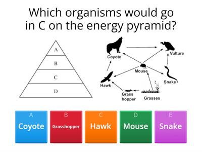 Energy Pyramids