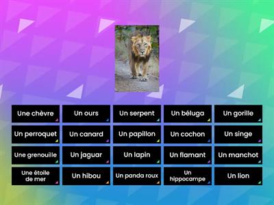 Les animaux de Zoo