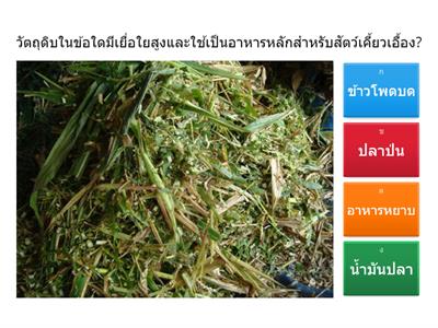 จำแนกกลุ่มอาหารสัตว์