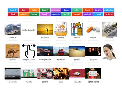vocabulary of unit 2