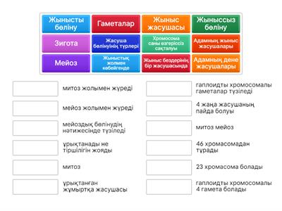  8 сынып Алдыңғы білім