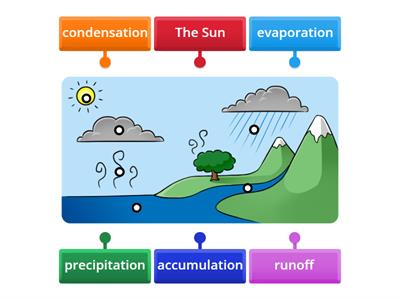 Water Cycle- Label Illustration (No Transpiration)