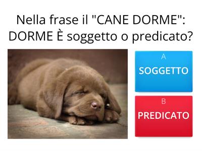 SOGGETTO O PREDICATO ? 