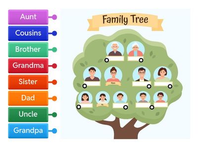 STAGE 2, Unit 2 test prep - family members