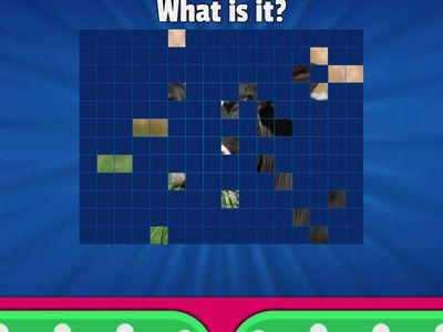 8th---L3 Vocabularies