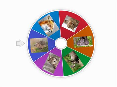 Крути колесо и напиши слово